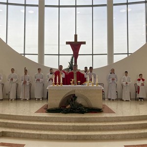 Biskup Šaško predvodio misno slavlje na Cvjetnicu u Dugom Selu